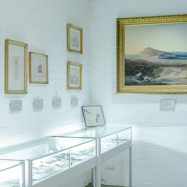 Blick in das Museum