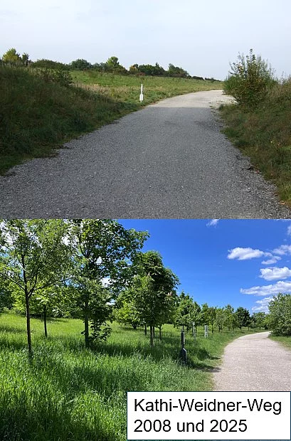 Vergleich Bäume am Kathi-Weidner-Weg 2008 zu 2005