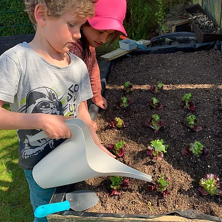 Pflege des Hochbeetes