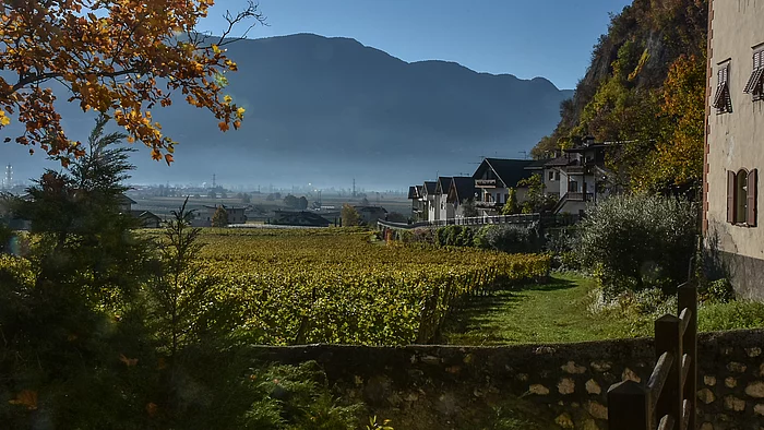 Parntergemeinde Margreid an der Weinstraße