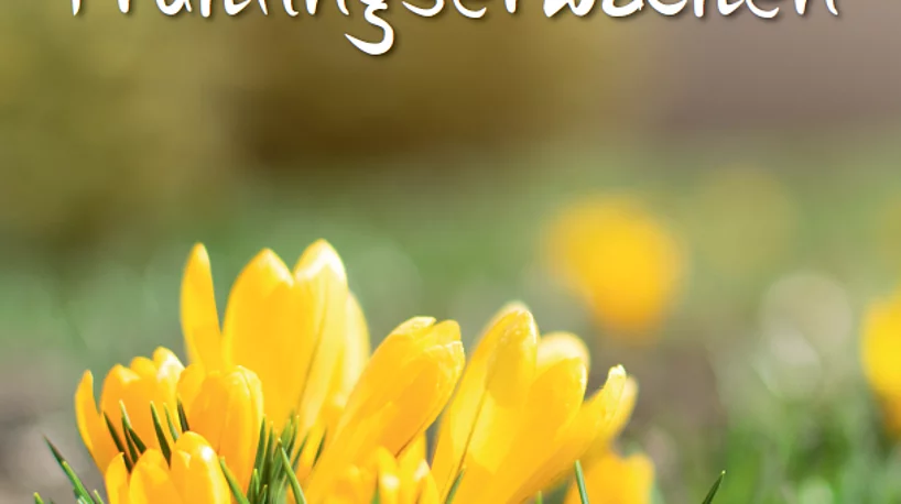 Plakat für die Aktion "Frühlingserwachen"