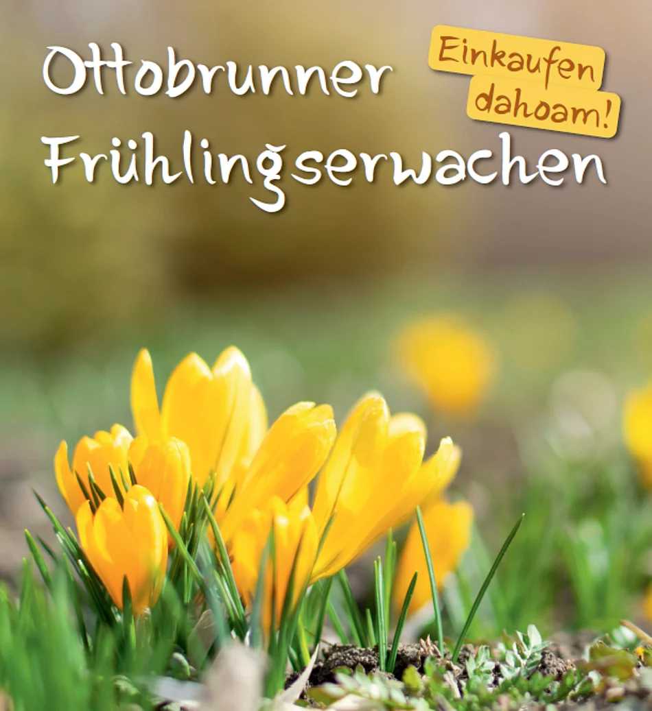 Plakat für die Aktion "Frühlingserwachen"