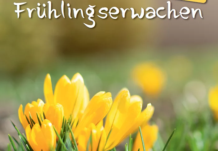 Plakat für die Aktion "Frühlingserwachen"
