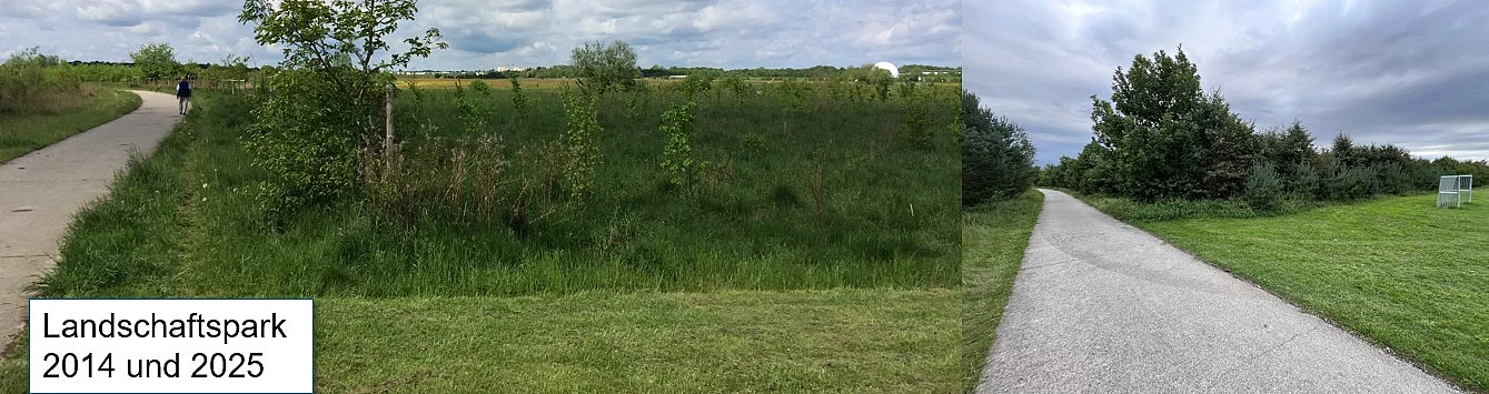 Vergleich Bepflanzung Plant for the Planet 2014 und 2025 (Fotos: Gemeinde Ottobrunn)